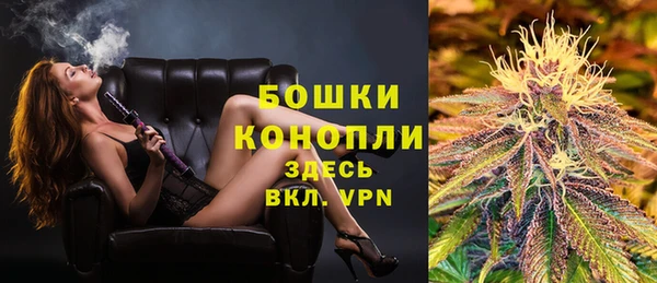 молекула духа Нея