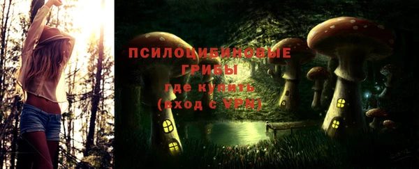молекула духа Нея