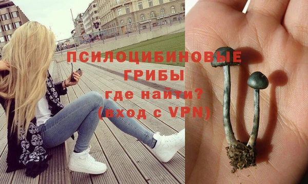 гидропоника Нефтегорск