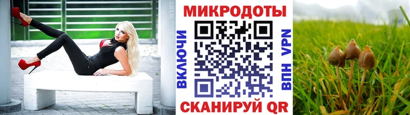Купить закладки  Чита  Псилоцибиновые грибы Psilocybe 